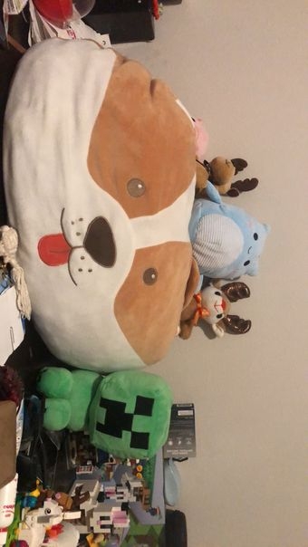 Most of my plushies